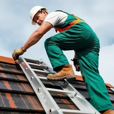 Roof repair expert